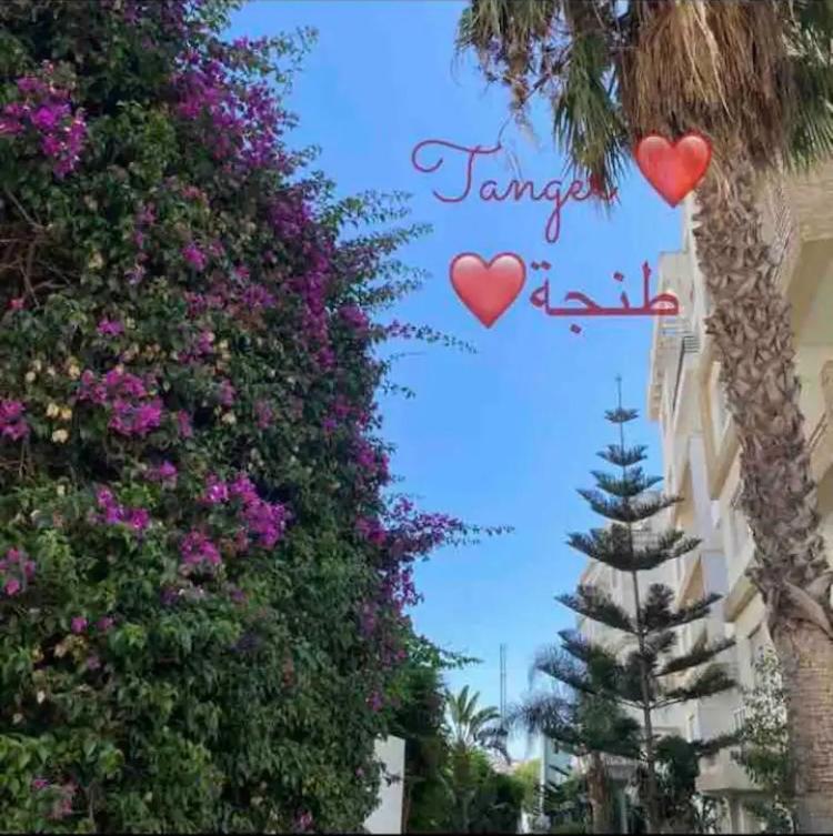 Moderne Appartement Met Tuin طنجة المظهر الخارجي الصورة